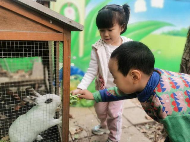 歷下區佛山苑幼兒園：黨建引領助成長 園本課程顯特色（黨建引領幼兒園發展）