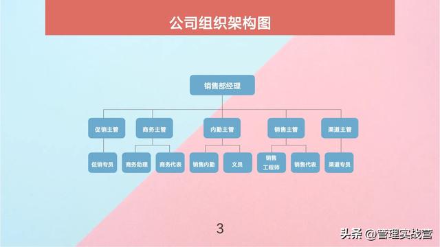 熬了三天，终于把“公司组织架构图”绘制好了，速速收藏（公司组织架构图说明）