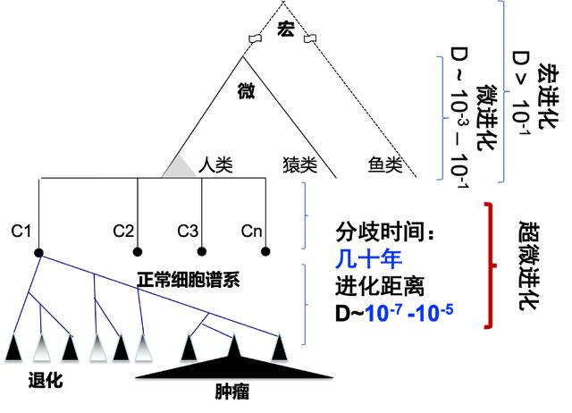 国家自然科学基金委公布！中山大学2项“重大项目”成功获批！（中山大学 国家自然科学基金）