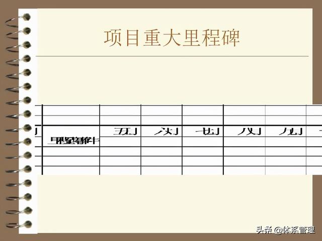 「体系管理」pmp项目管理案例模板（ppt 34页）（pmp项目管理实例）