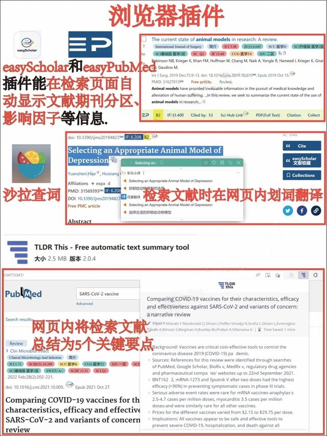 读研后才发现 这些科研工具导师根本不教！（导师不搞科研）