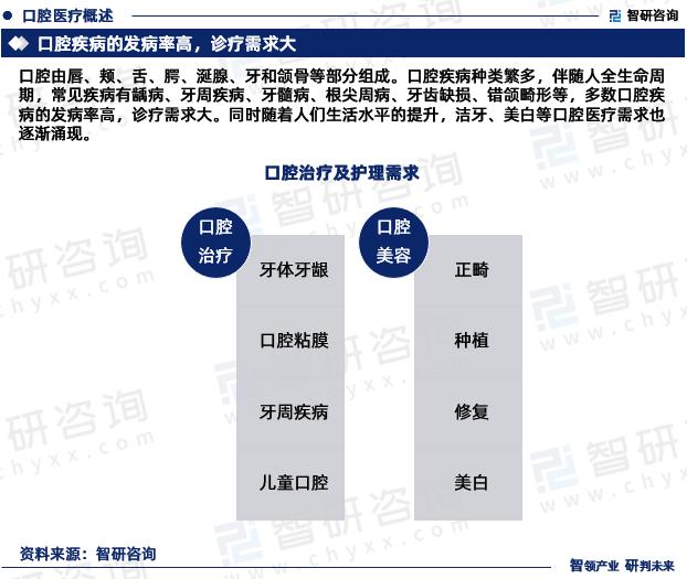 2023版中国民营口腔医院市场深度分析研究报告（智研咨询发布）（国内民营口腔医疗机构的发展阶段）