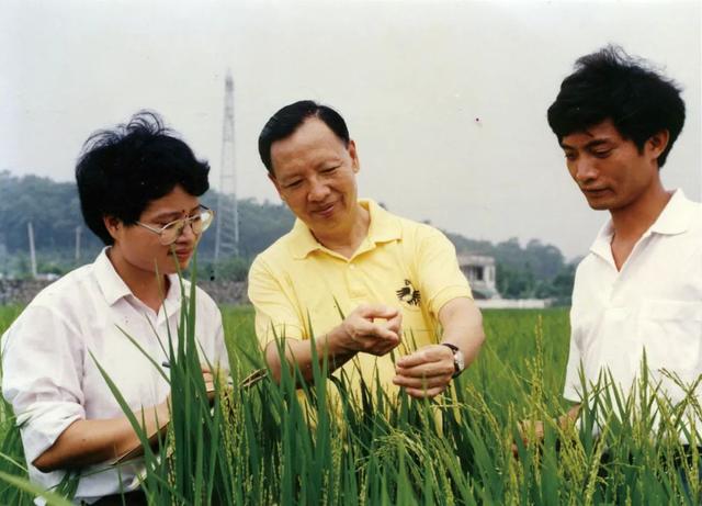 卢永根 把根深深扎在泥土里（把根深深扎进土地）