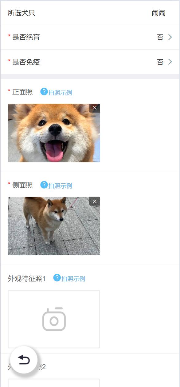 北京养犬登记年检如何“掌上”办理？流程看这里（北京养犬证年检）