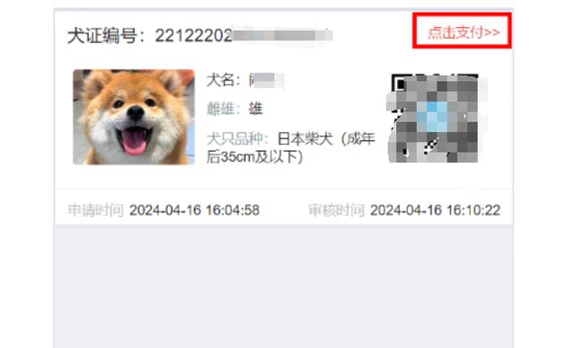 北京养犬登记年检如何“掌上”办理？流程看这里（北京养犬证年检）