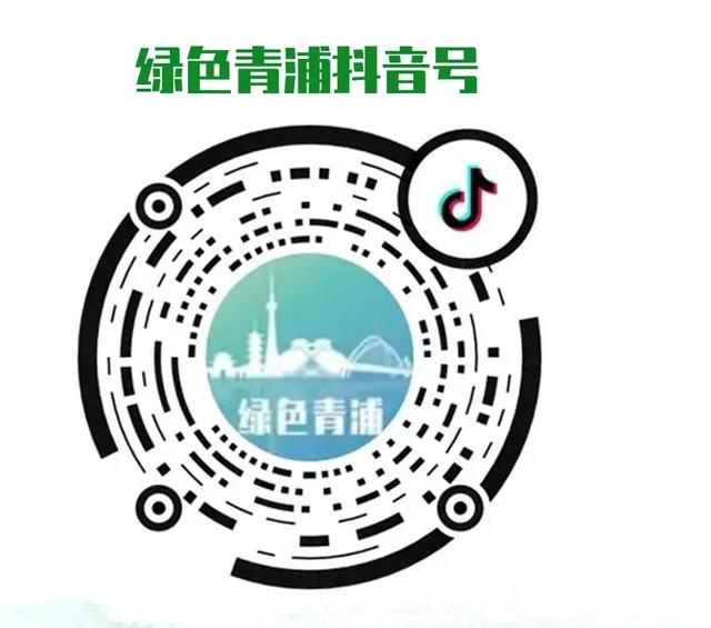 曙光村：党建引领“网格化+积分制”，绘就乡村“善治图”（网格化党建引领社区基层治理的路径探析）