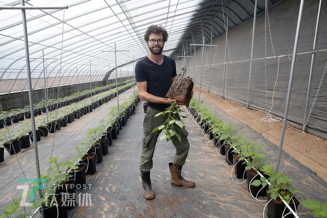 从荷兰回到张家口种树莓，他想用AI无人种植改变中国农业 - 钛媒体影像《在线》