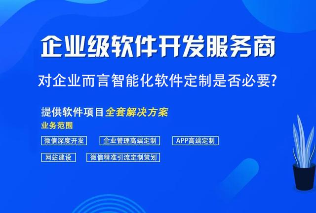 对企业而言智能化软件定制是否必要？（智能化系统定制）